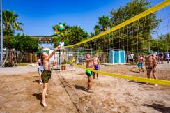 LARA BARUT COLLECTION Activities